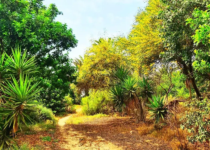 Apartmán Casa Del Capitan *